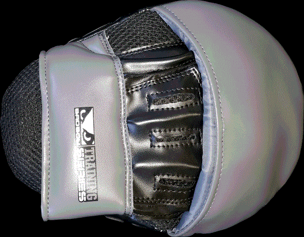 Bad Boy Training Series 2.0 Focus Mitts